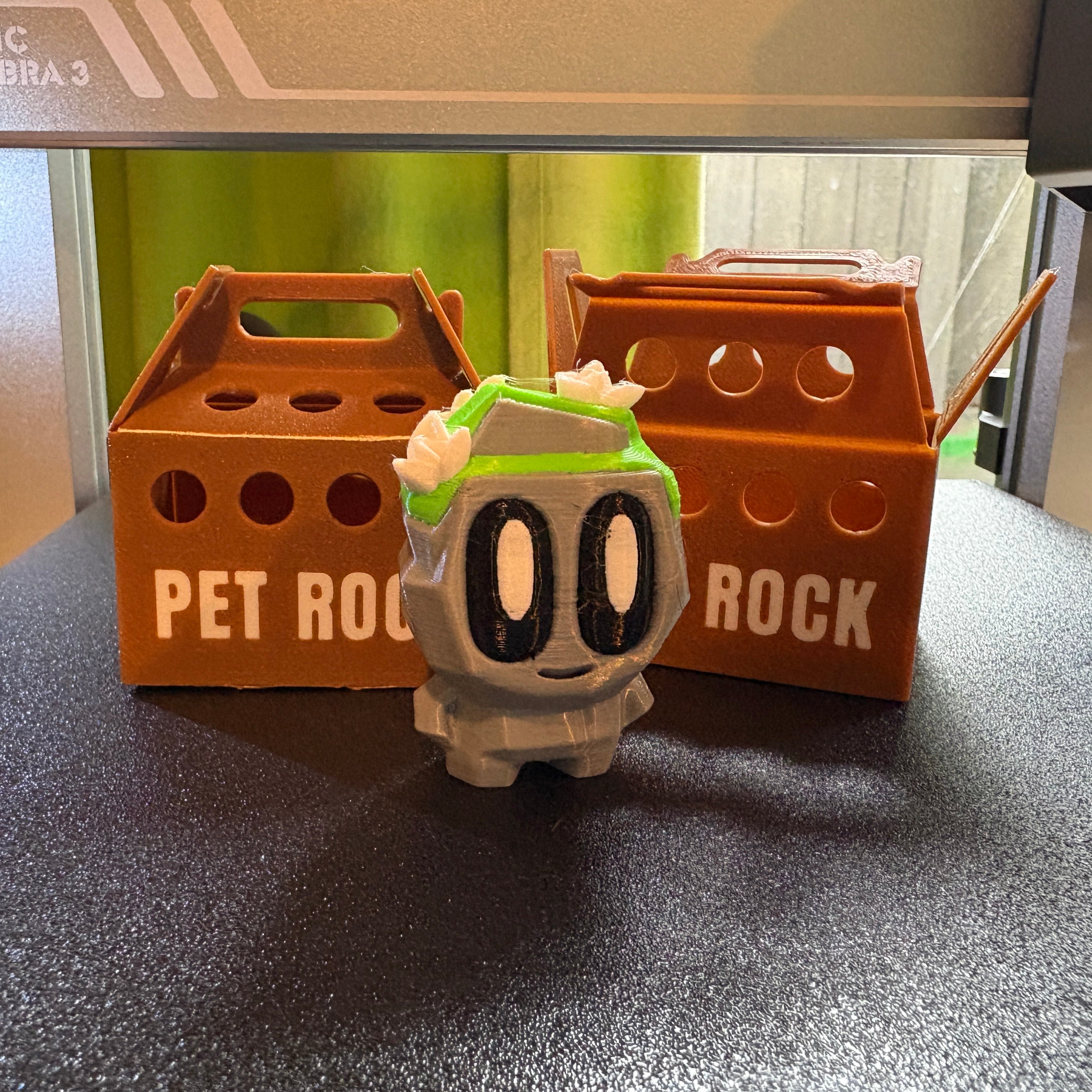 Pet Rocks