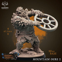 Mountain Ogre - The Printable Dragon