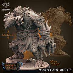 Mountain Ogre - The Printable Dragon