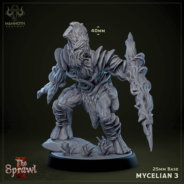 Mycelians 3D-printed model
