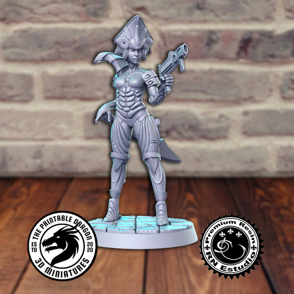 Nefer 3D-printed model