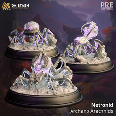 Netronid Archano Arachnids