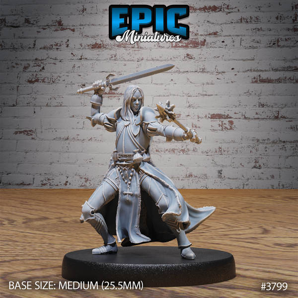 New World Cleric 3D-printed model