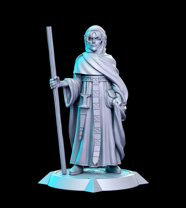 Noe 3D-printed model