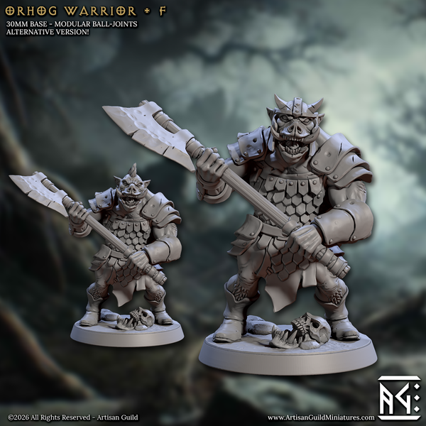 Orhog Warrior