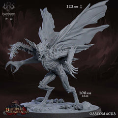 Osseomagus 3D-printed model
