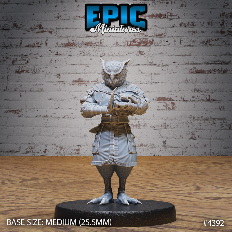Owl Folk Monk 3D-printed model