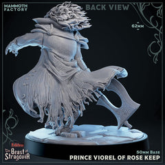 Prince Viorel of Rose Keep 3D-printed model