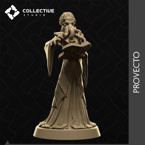 Provecto 3D-printed model