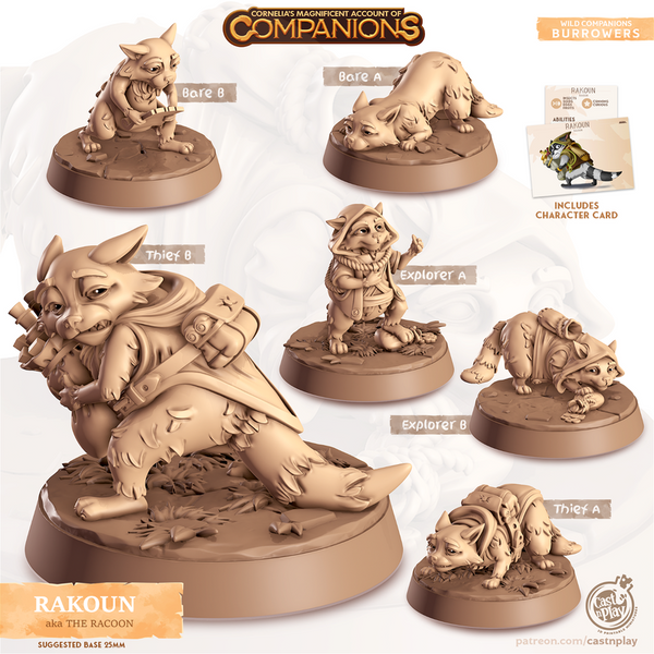 Rakoun The Racoon 3D-printed model