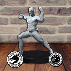 Ranger 3