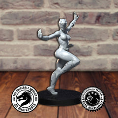 Ranger 4