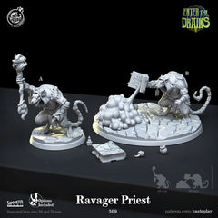 Ravager Priest