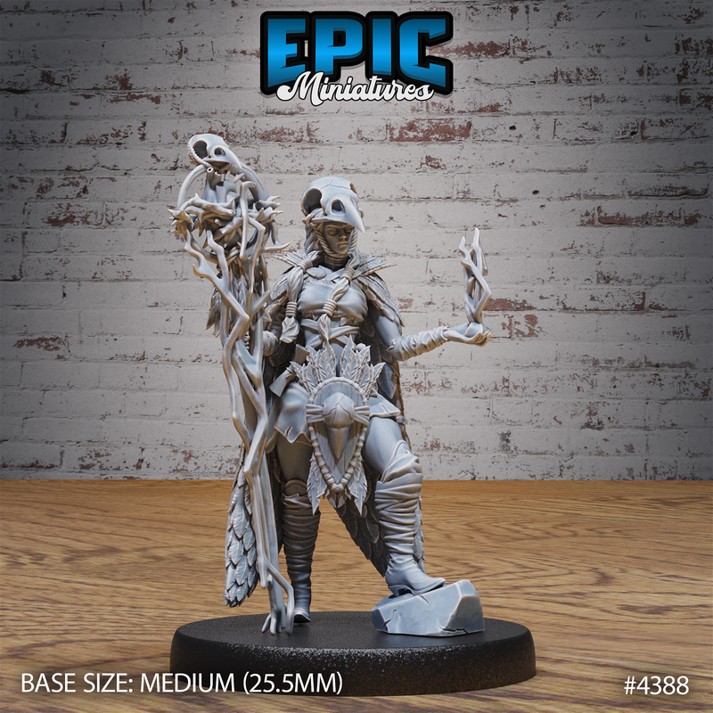 Raven Wizard Female 3D-printed model