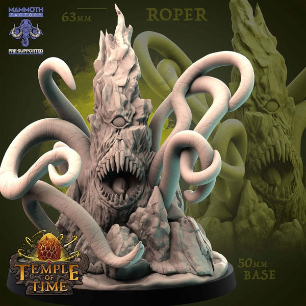 Roper 3D-printed model