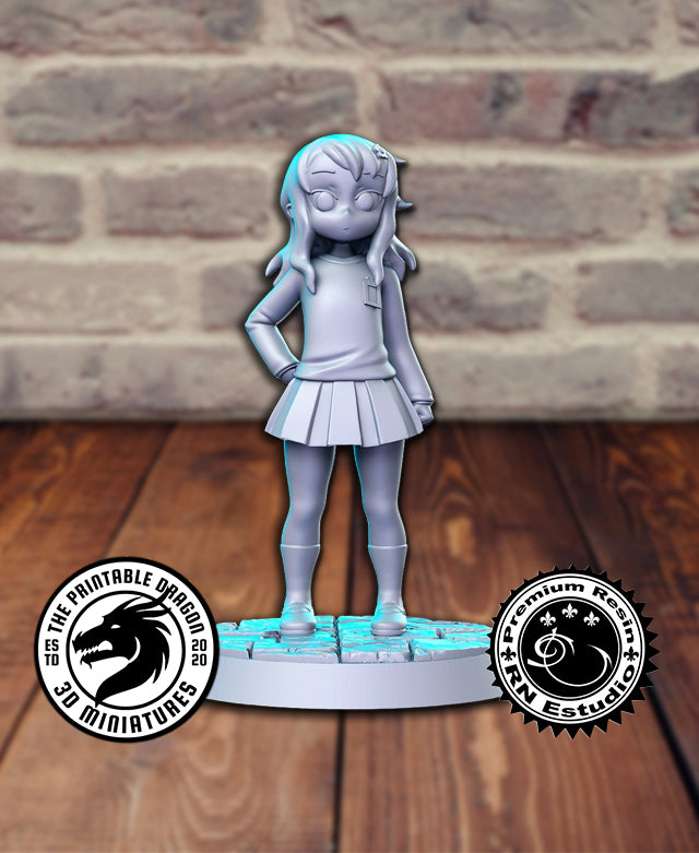 Saikawa 3D-printed model