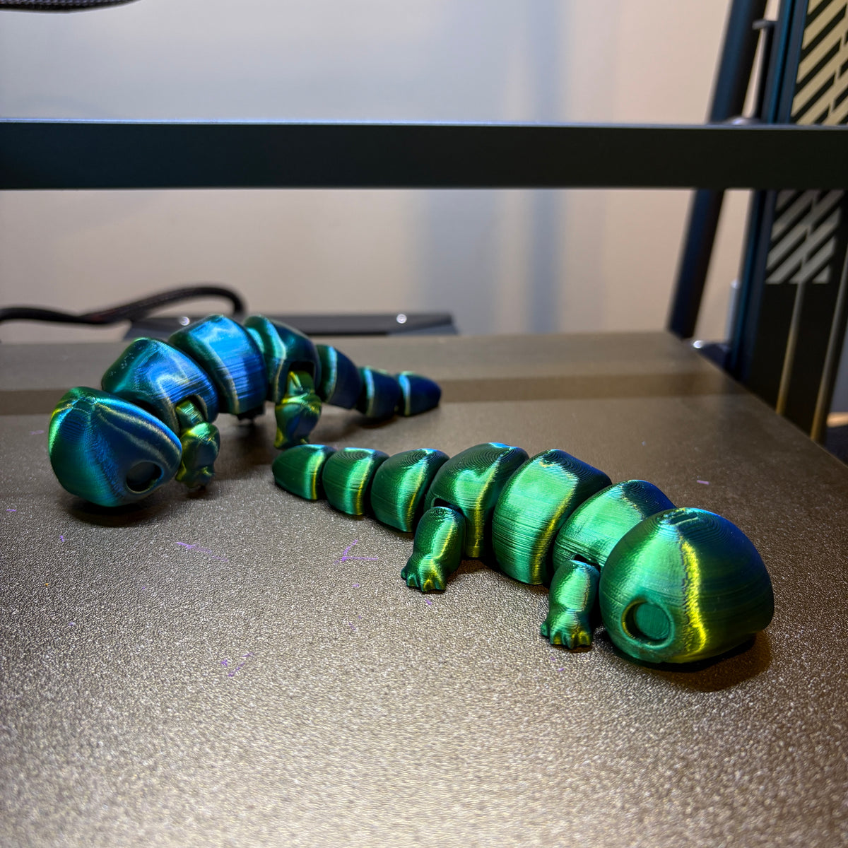 Salamander 3D-printed model