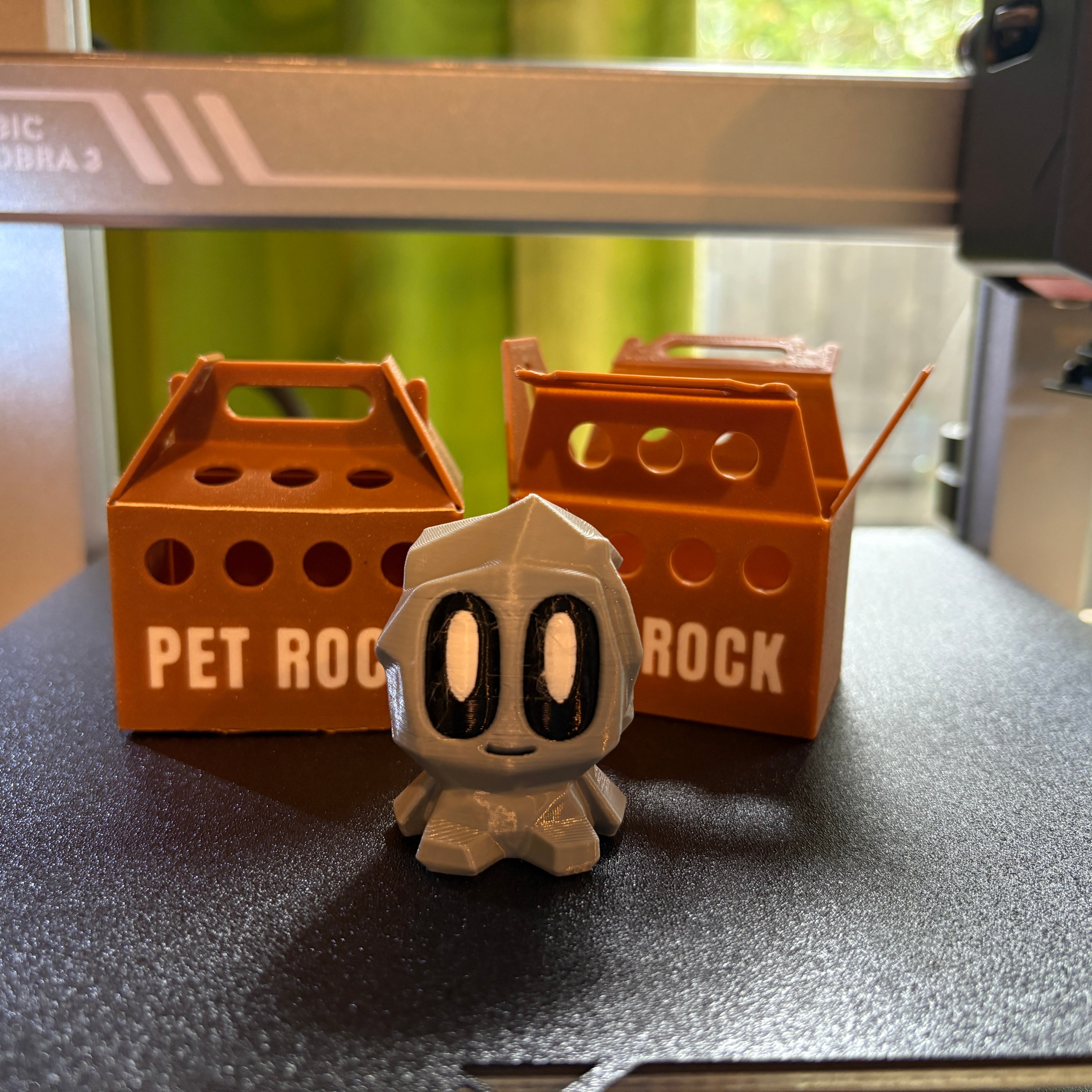 Pet Rocks