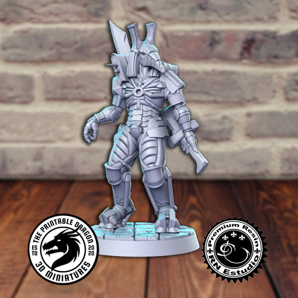 Seth 3D-printed model
