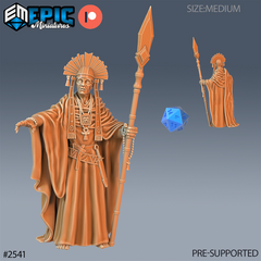 Shaman Chief 3D-printed model