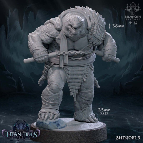 Shell Shinobi 3D-printed model