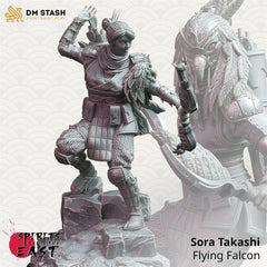 Sora Takashi - Flying Falcon 3D-printed model