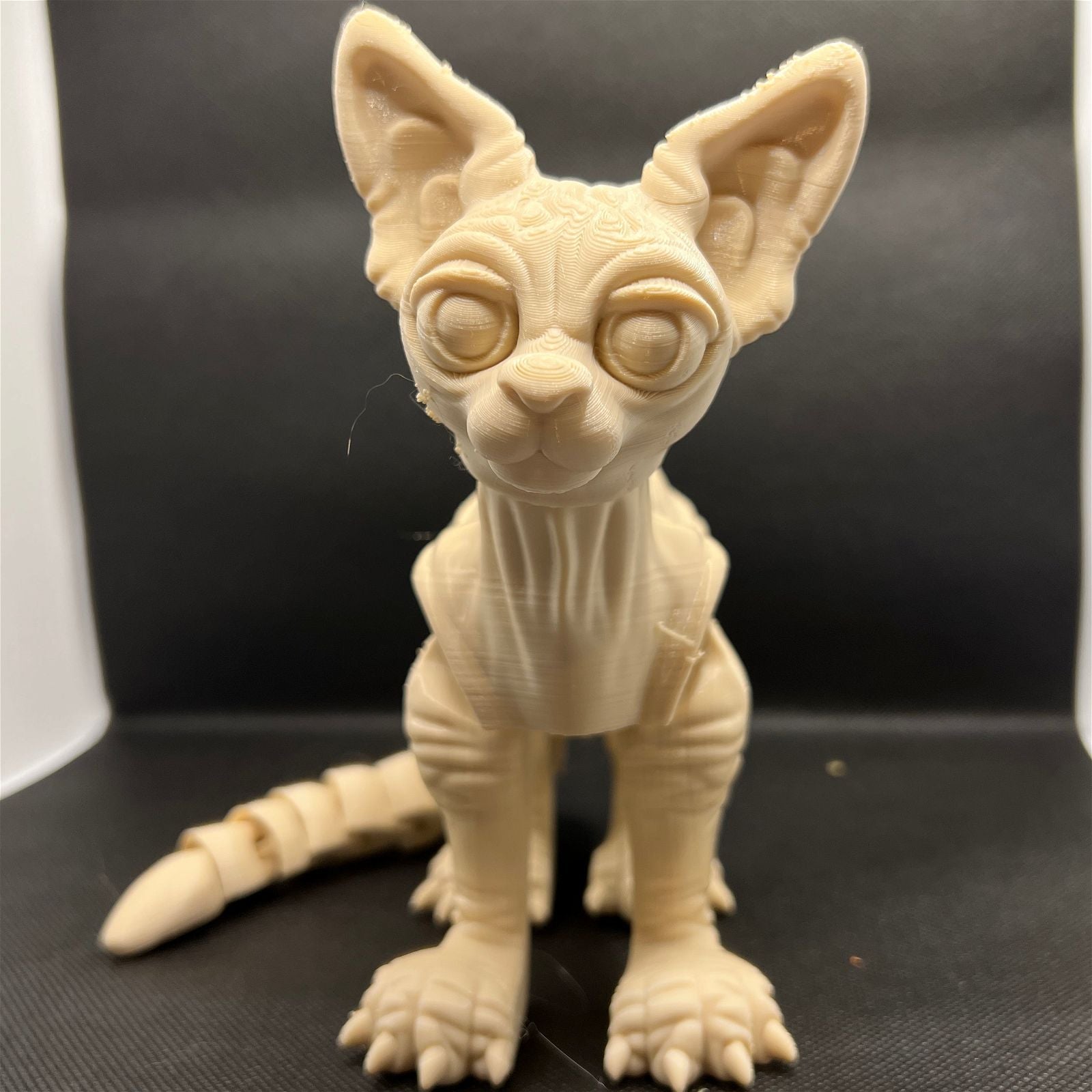 Sphynx Cat Flexy - The Printable Dragon