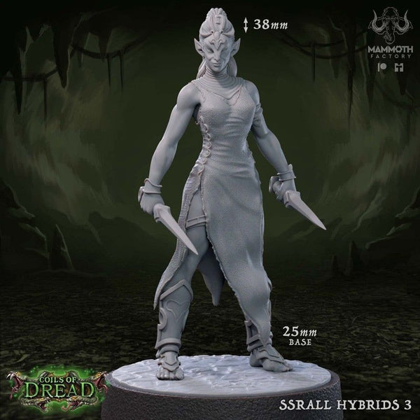 Ssrall Hybrid 3D-printed model