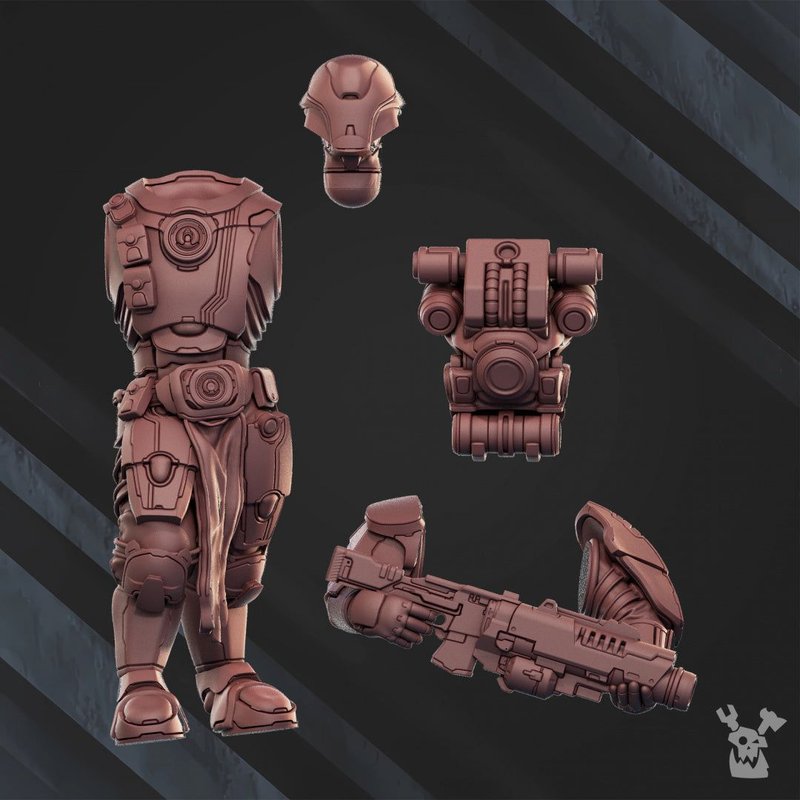 Star Alves Operational Team Warrior 3D-printed model