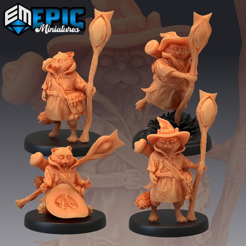Tabaxi Sorcerer