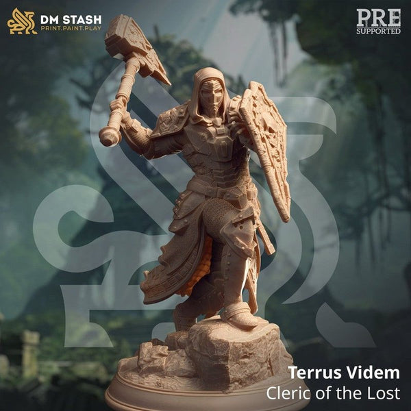 Terrus Videm - Cleric of the Lost 3D-printed model