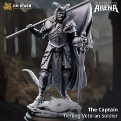 The Captain - Tiefling Veteran Soldier