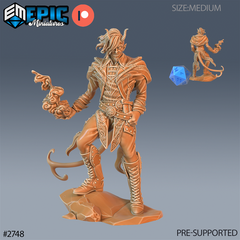 Tiefling Adventurer 3D-printed model