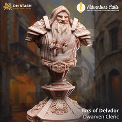 Tors Of Delvdor Bust 3D-printed model