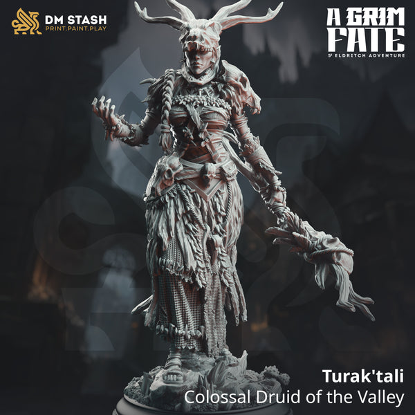 Turak tali - Colossal Druid of the Valley 3D-printed model