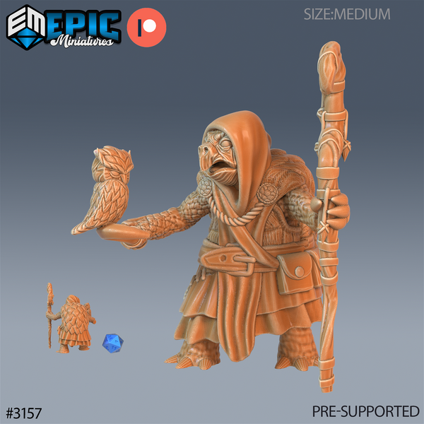 Turtle Folk Tribe - The Printable Dragon