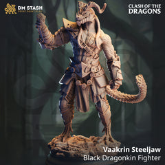 Vaakrin Steeljaw - Black Dragonkin Fighter