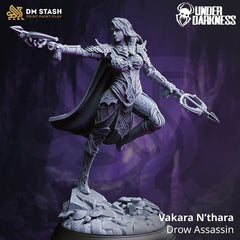 Vakara N’thara - Drow Assassin 3D-printed model