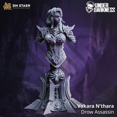 Vakara N’thara - Drow Assassin Bust 3D-printed model