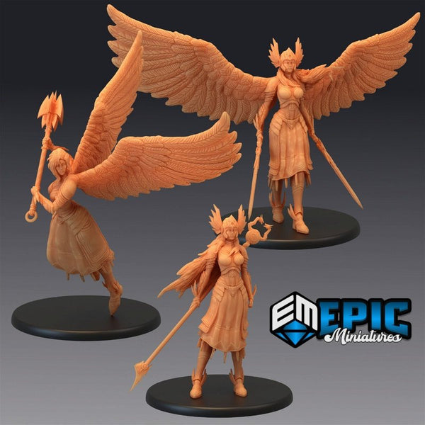 Valkyries 3D-printed model