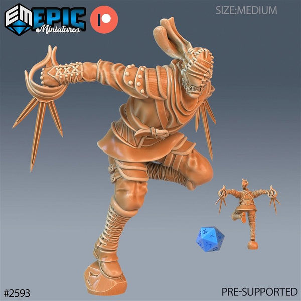 Vampire Assassin 3D-printed model