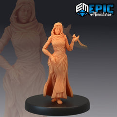 Viziers Assassin 3D-printed model