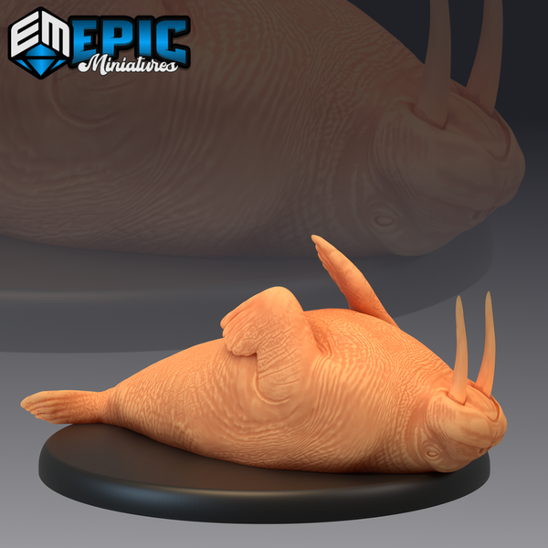 Walrus 3D-printed model