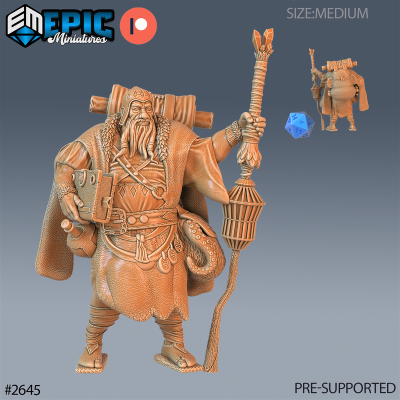 Wandering Merchant 3D-printed model