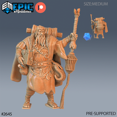 Wandering Merchant 3D-printed model