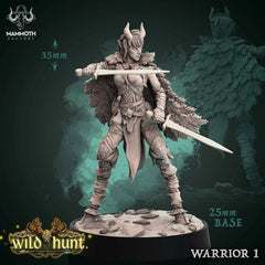 Warrior 3D-printed model