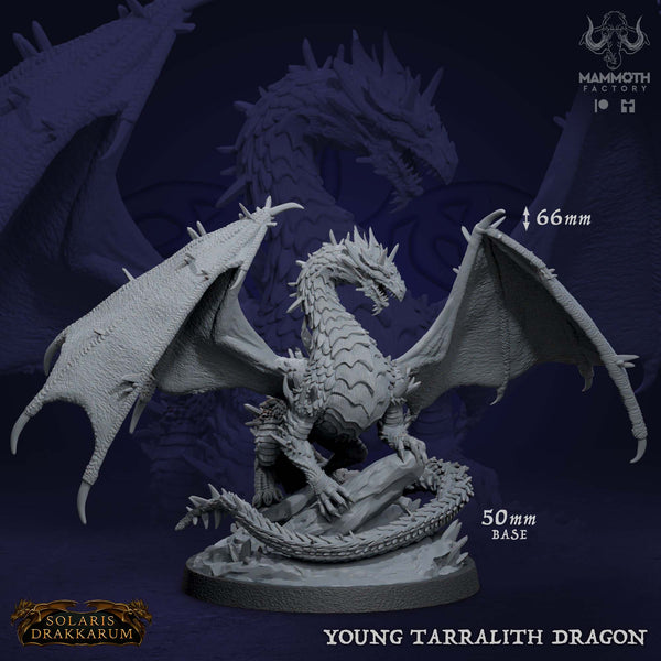 Young Tarralith Dragon 3D-printed model
