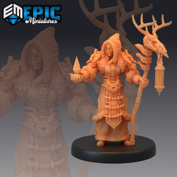 Winter Shaman 3D-printed model