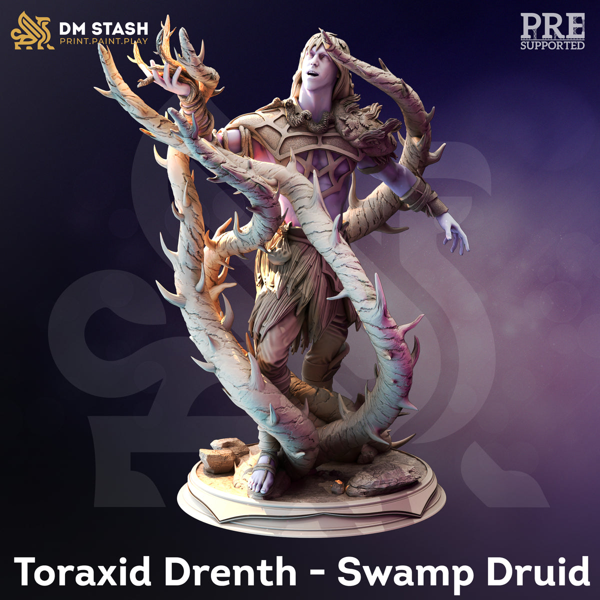 Toraxid Drenth